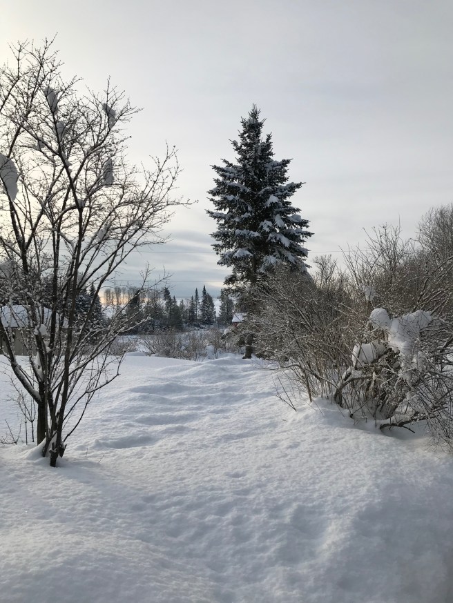 cYJB8yOGRveSevQzNdg1BQ