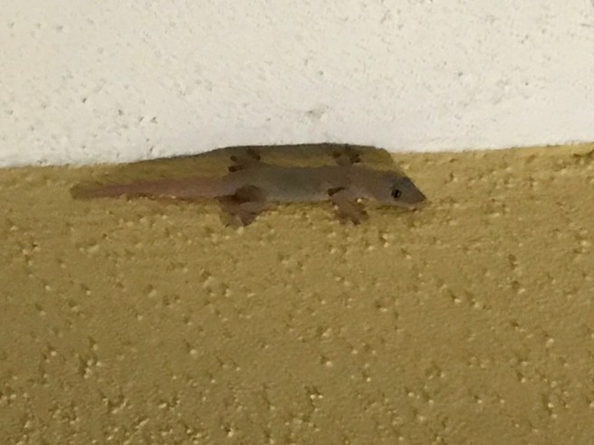 fRjx3yIWTwCXV9hqbHX6aA