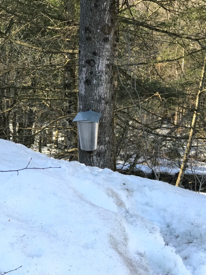 TWDizMxPStSOLL5hKleBNA